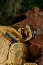 Navy blue rectangular