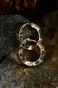 Leopard print earrings