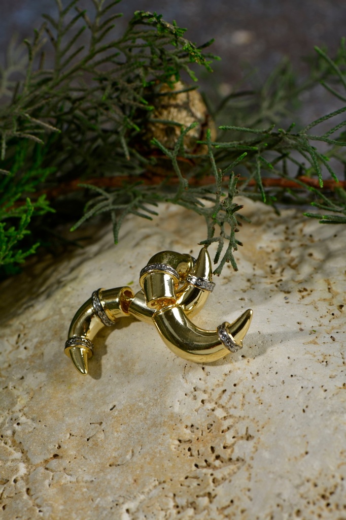 Thick inverted claw